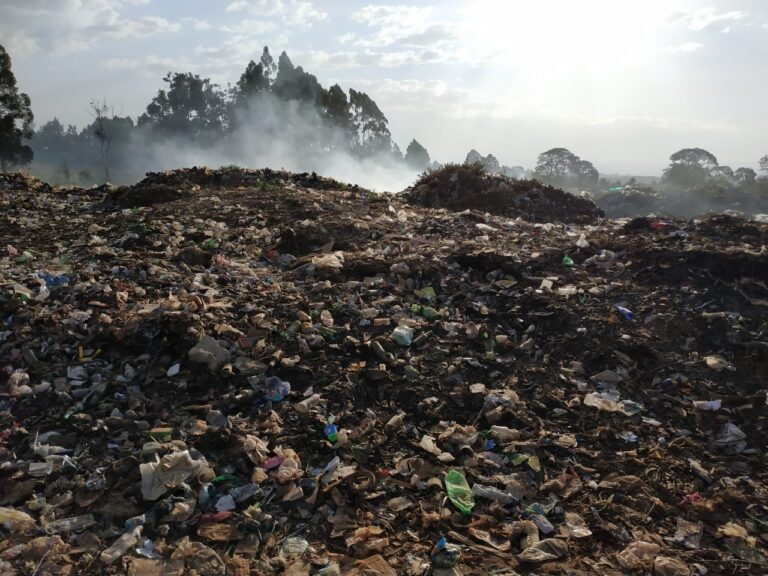 Drowning In Waste Case Lusaka Zambia Woima Corporation