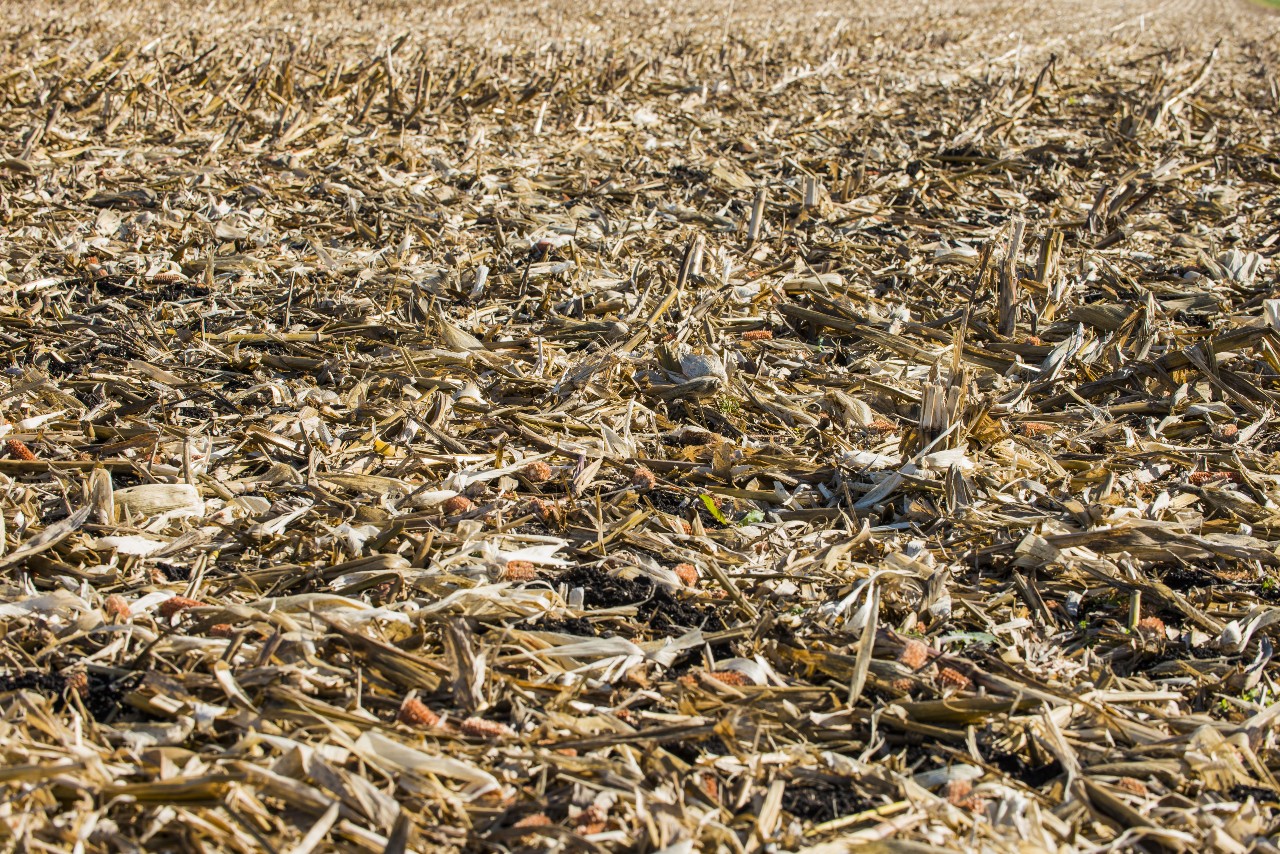 Agricultural Waste Images