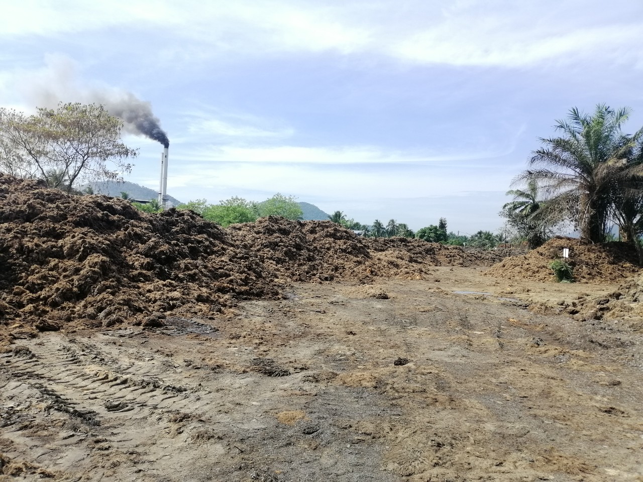 Wastewoima Fuels Agricultural Waste Aw Woima Corporation