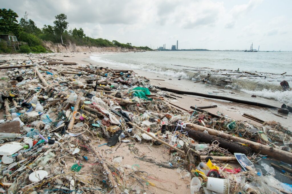 Wastewoima Fuels Marine Debris Woima Corporation