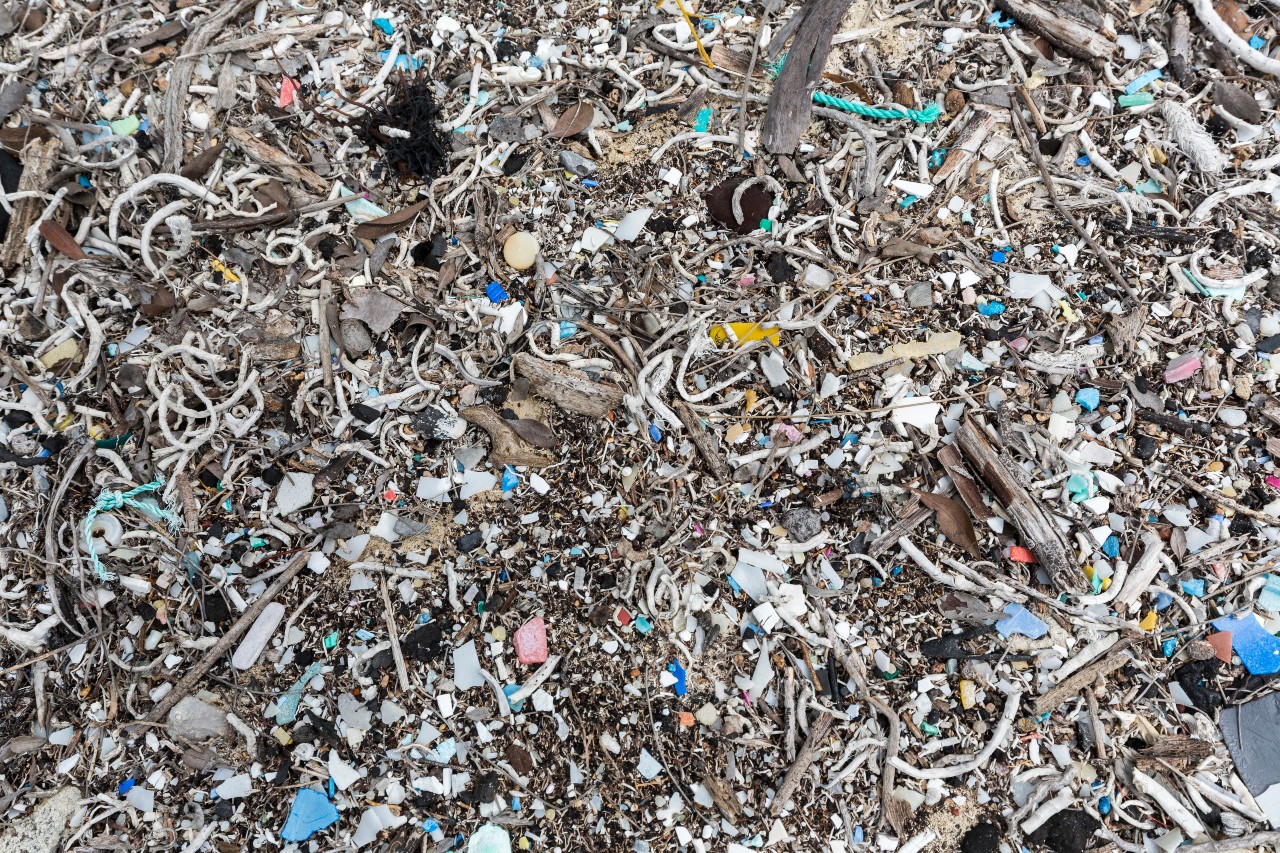 Dumpster Overflowing with Trash in an Urban Area in the Northwest Section  of Brasilia. Editorial Image - Image of heap, brasilia: 204218365